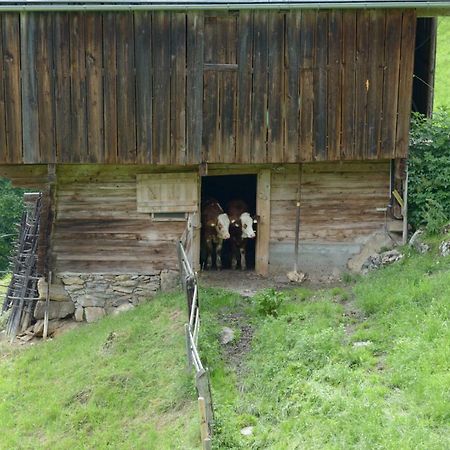 Bergpension-Ebental Бриксен-им-Тале Екстериор снимка