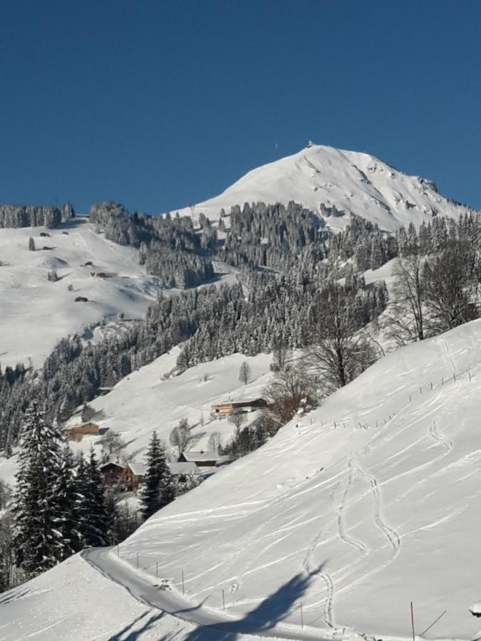 Bergpension-Ebental Бриксен-им-Тале Екстериор снимка