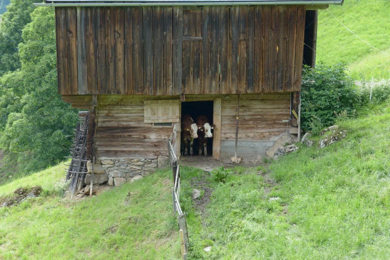 Bergpension-Ebental Бриксен-им-Тале Екстериор снимка